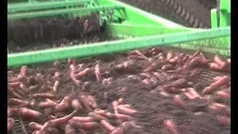 Jones Engineering Harvester and Carrot topper