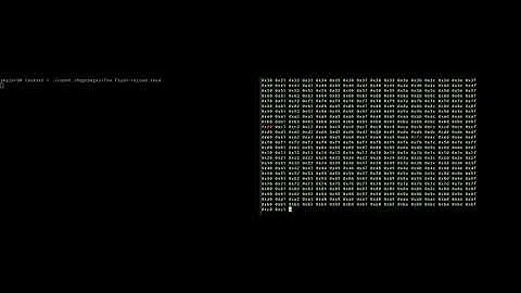 FLUSH + RELOAD (counter)