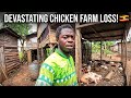 A Big Loss On My Farm