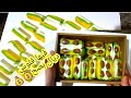 مشروع النوجا الملونة ما يمكنش شحال ديال الارباح فهاد الحلوة و بمكون واحد وجدوها و فرقو على لحوانت