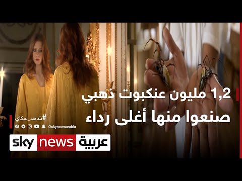 فيديو: ريترو المشاهير