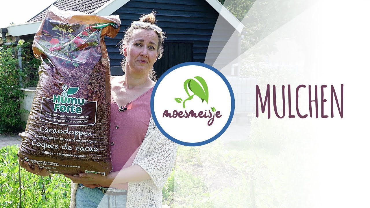 Mulchen in de moestuin: wat is mulchen, waarom is het zo belangrijk en waarmee mulch je?