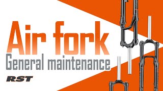 【RST】Air fork-General maintenance