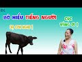 Chú bò hiểu tiếng người, thích được gọi là cục vàng- ĐỘC LẠ BÌNH DƯƠNG