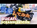 ドゥカティ スクランブラー  アイコン DUCATI SCRAMBLER ICON 試乗 レビュー 素人感想 モトブログ