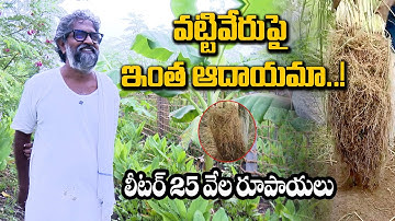 వట్టివేరుపై ఇంత ఆదాయమా.!?లీటర్ 25వేల రూపాయలు | Natural Farming | Organic Agriculture | Sasyasyamalam