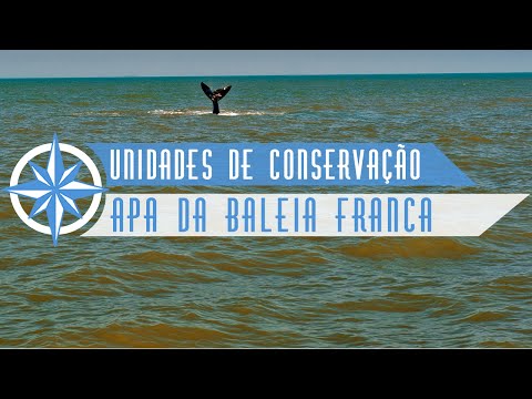 Área de Proteção Ambiental da Baleia Franca - Episódio 3