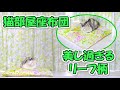猫部屋座布団を美し過ぎる北欧リーフグリーンに交換しました