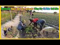 Thế Nhân Vlogs || Hướng Dẫn Người Dân Bản Kapingala Trồng Cây Cà Pháo Việt Nam
