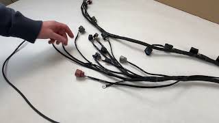Honda K-Series RWD Swap Harness for LINK Fury ECU | Wiring Specialties PRO Series