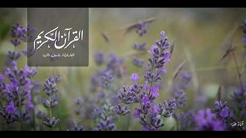إستفتح يومك بكلام خالقك .  القارئ/ ياسين نائب ♡.