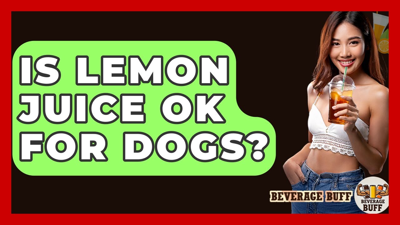 Is Lemon Juice OK For Dogs? - Beverage Buff