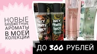 :    300 .