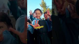 St Brendans Catholic Primary School Annandale