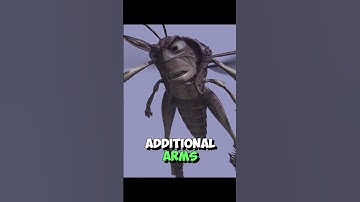 The Most Underrated Race For Rangers In D&D