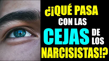 ¿Qué pasa con las cejas narcisistas?