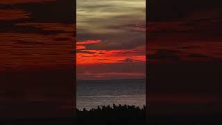 I need you (Reggae version) Niney D 