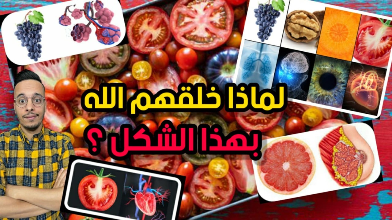 شكل الخضر والفواكه من المعجزات الإلهية