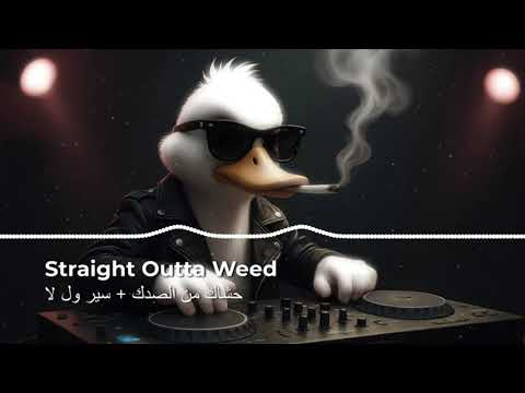 WeedRemixes 6 حشاك من الصدك سير ول لا 