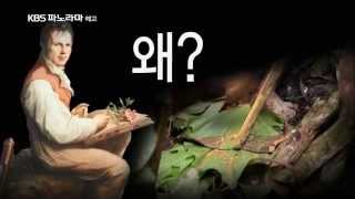 140613 KBS파노라마_훔볼트로드 1부 예고 ㅣ KBS방송