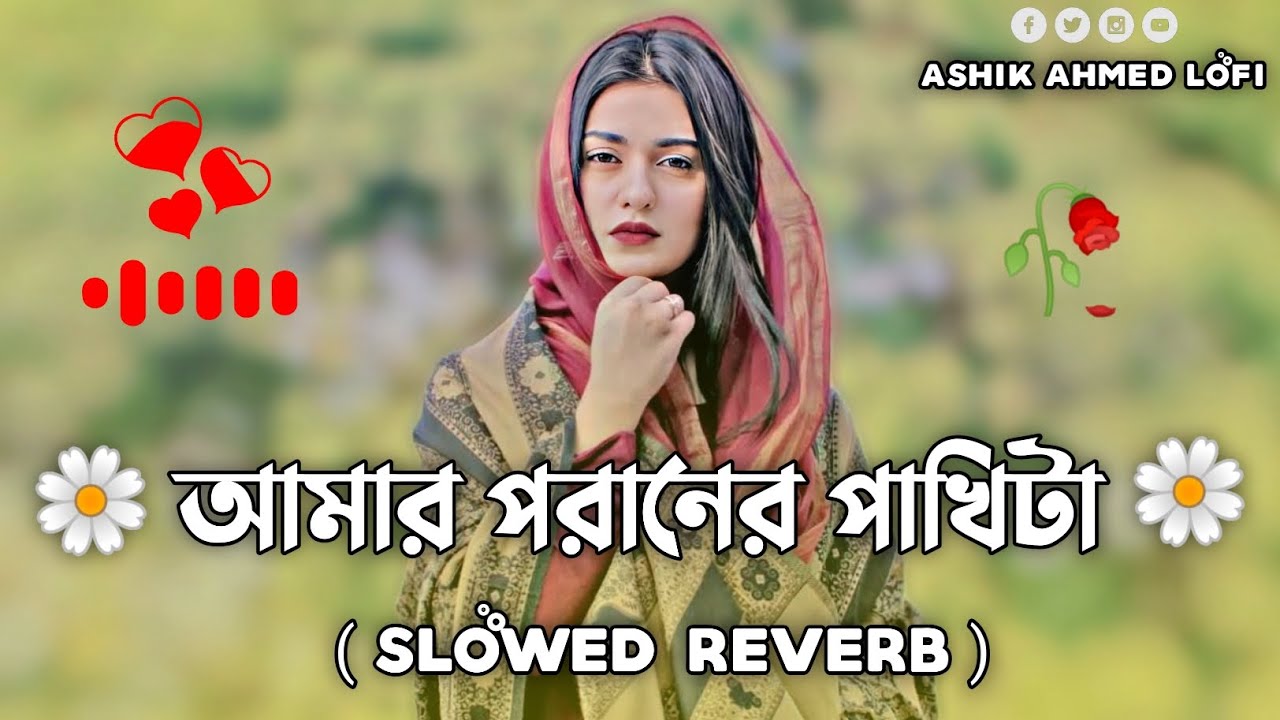 আমার পরানের পাখিটা উড়িয়া গিয়েছে | Amar Poraner Pakhi ta Uriya Giyace ( Slowed+Reverb ) Bangla Lofi