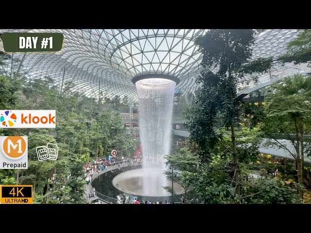 Changi Airport Guide: All You Need to Know About Singapore's Famous Airport  - Klook Travel Blog