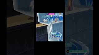 free fire ek viral sports video 😱 tondegamer#richa777 #shortsfeed #4flaggamer #subscribe