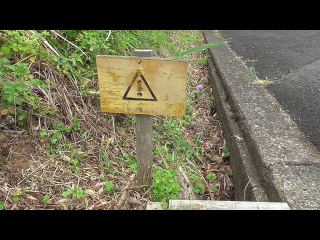 道路沿いにある ビックリマークの立て看板が謎だった Youtube