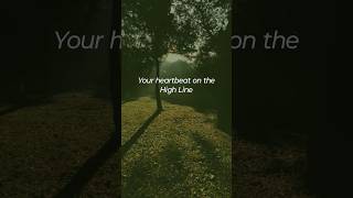 Taylor Swift – cardigan (Lyrics Video) #folklore #taylorswift #taylorswiftcardigan #swifties #music