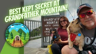 Grandfather Mountain NC: 3 Things You Must See