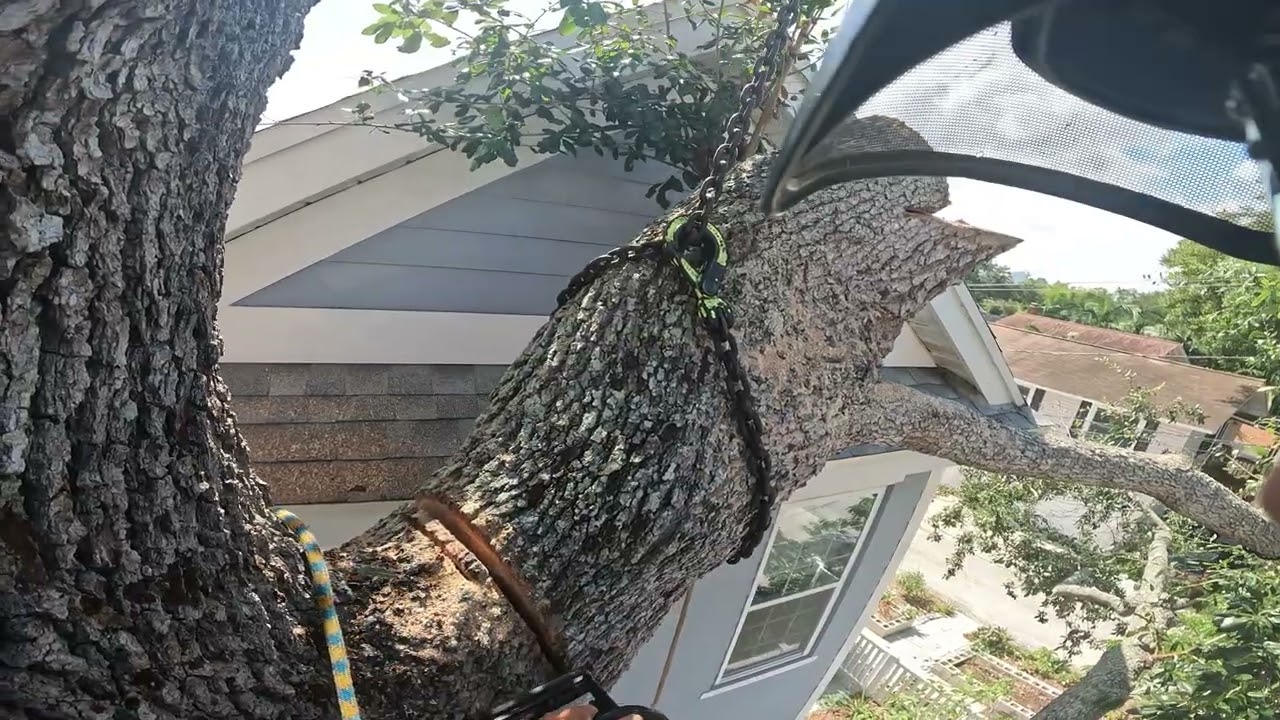 Peter Shea & Jerry Riggers