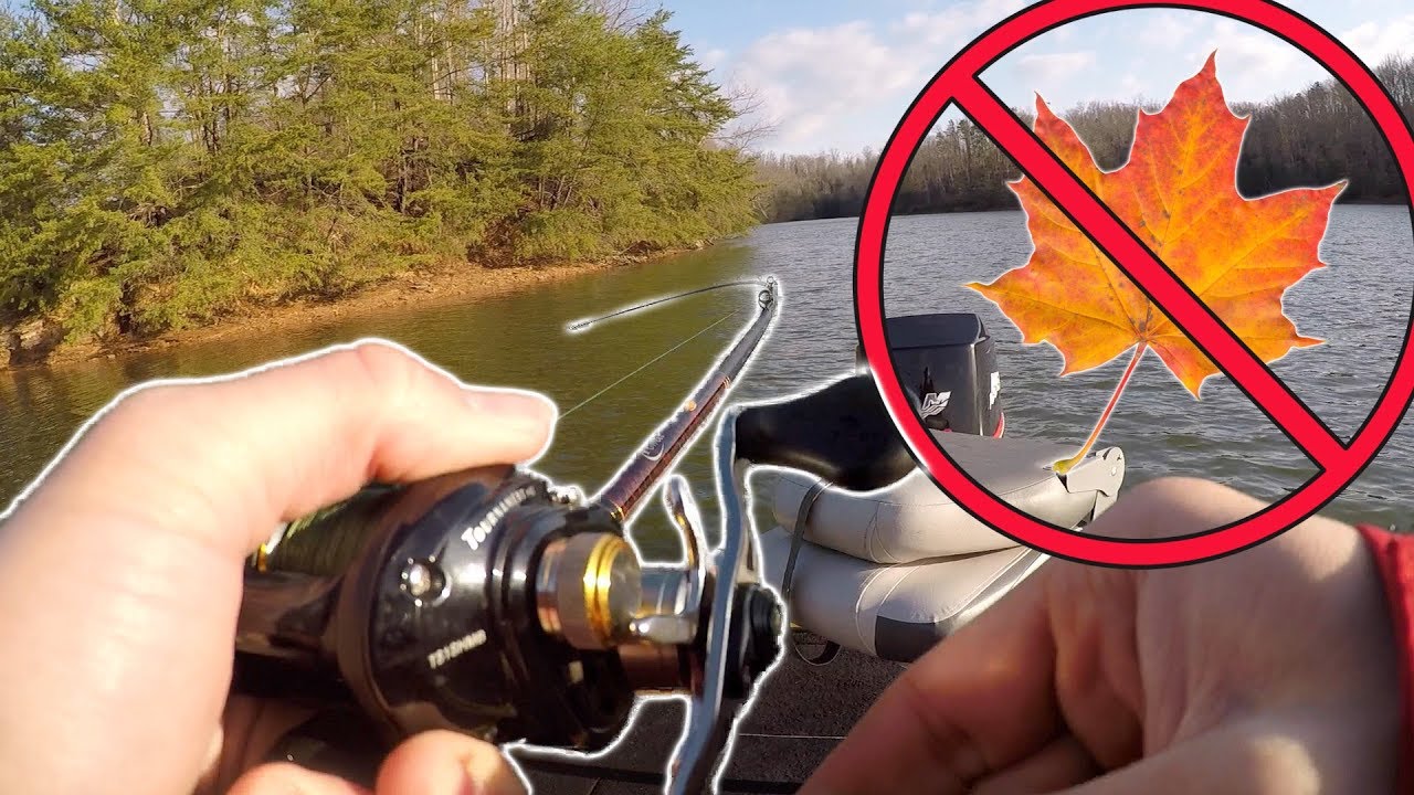 That’s no Leaf!!! (Pre-Spawn Bass Fishing)