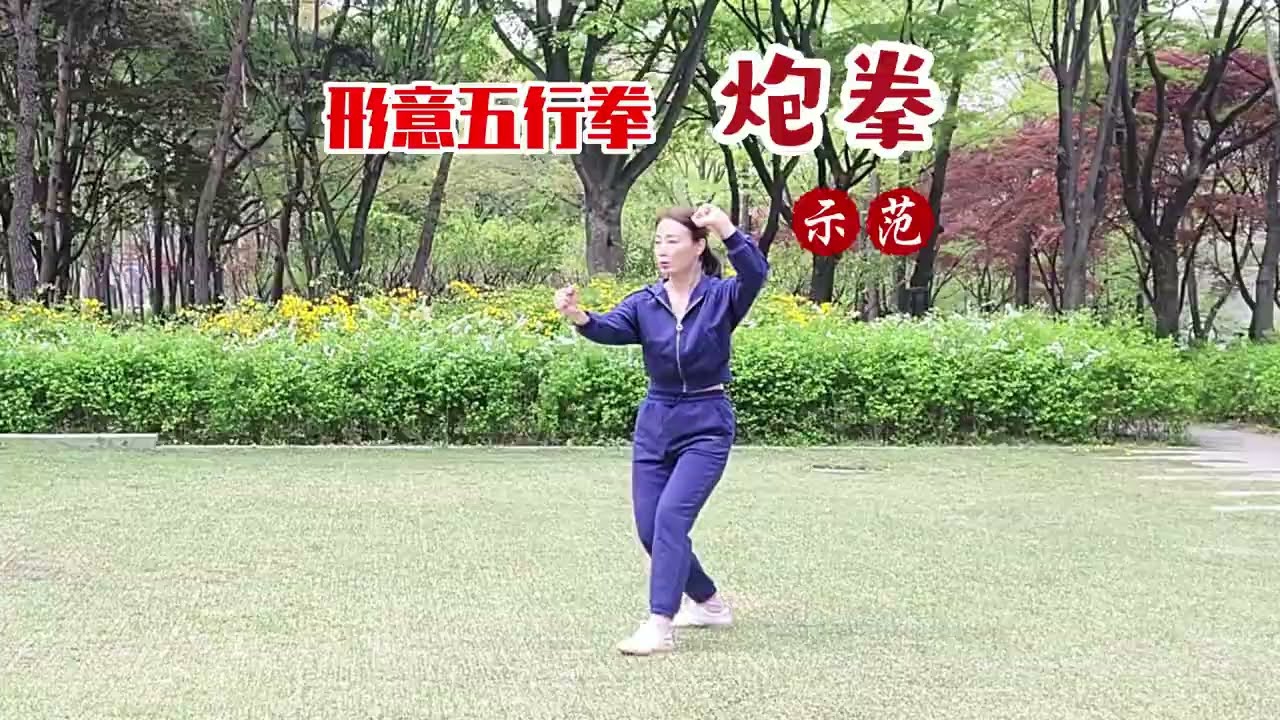 형의권오행 포권 形意五行拳炮拳 xingyi wuxing paoquan