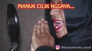 Manuk cilik gaya