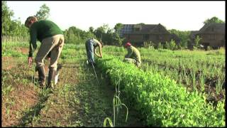 A day in the life of cohousing - short version News
