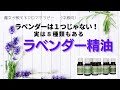 【アロマの学校】８種類のラベンダー精油を深く学ぼう