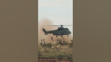 Wish you have a nice day #shorts #usairforce #military #veteran #usaf #fighterjet #aviation