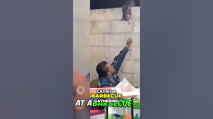 Heartwarming Acts of Kindness: Spreading Joy and Unity