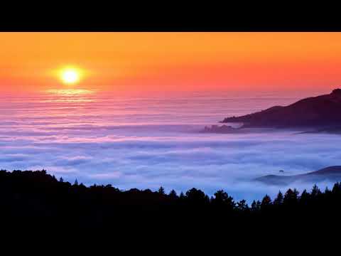 დაიგვიანეს