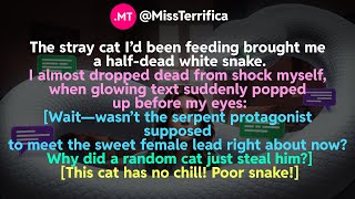 The stray cat I’d been feeding brought me a half-dead white snake...