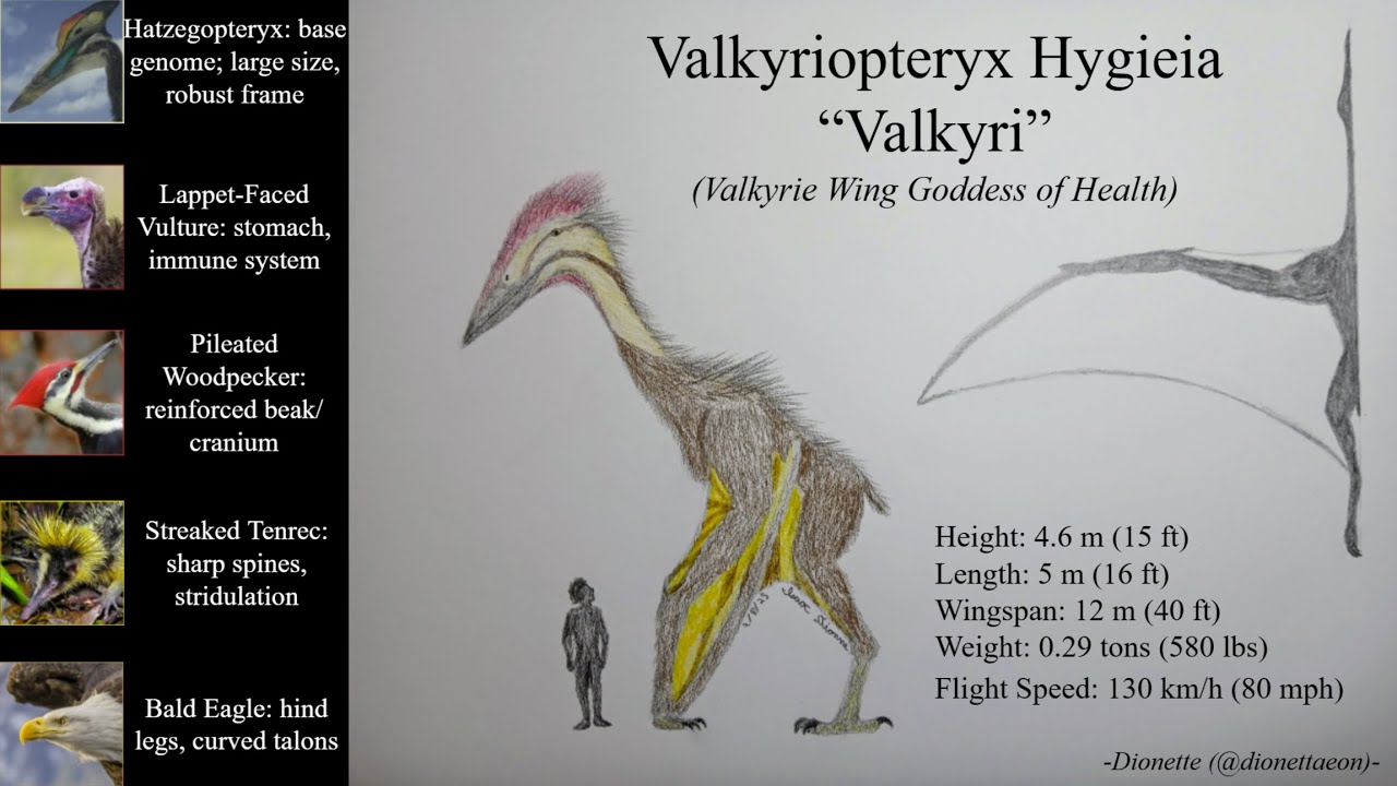 Valkyriopteryx -- Hybrid War Submission Showcase