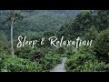 Blissful Beginnings (Original Track By Sleep &amp; Relaxation Track 17)