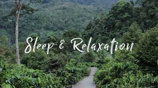 Blissful Beginnings (Original Track By Sleep & Relaxation Track 17) by Sleep & Relaxation 12,798 views 1 year ago 3 minutes, 9 seconds