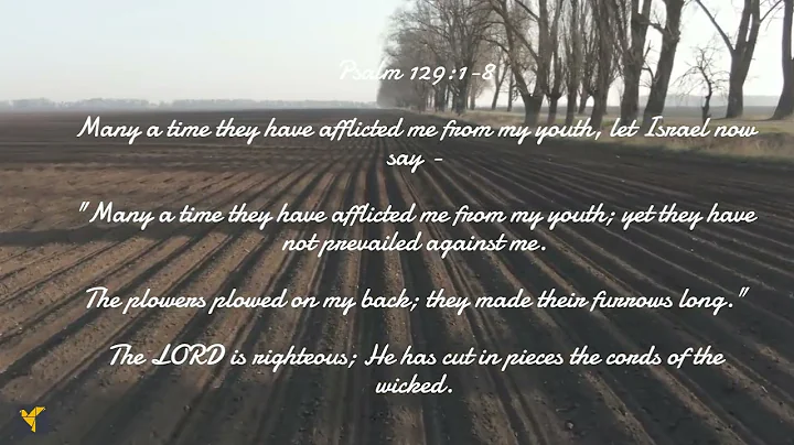 Daily Bible Verses| Psalm 129:1-8