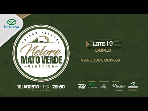 LOTE 19