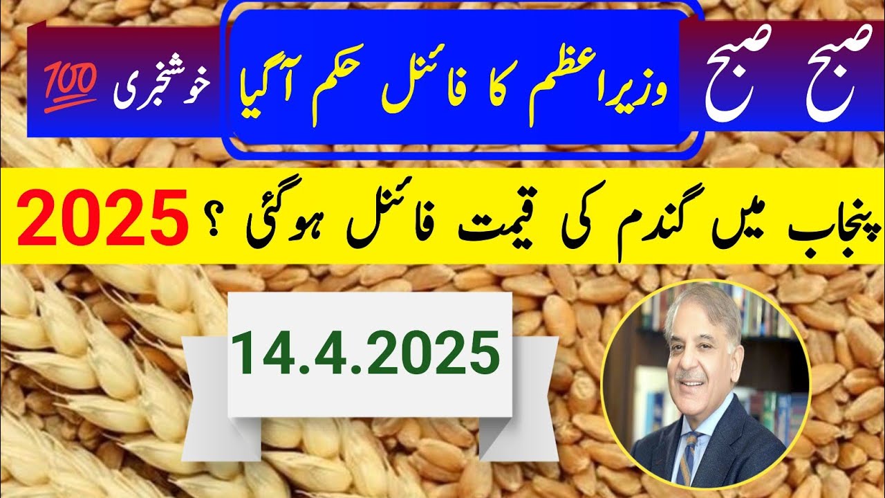 Wheat Support Price in Punjab Pakistan 2025 - YouTube
