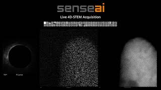Live Subsampled 4D-STEM with SenseAI