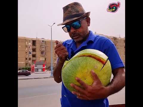 البطيخ المهرمن البايظ