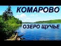 Щучье озеро в Комарово