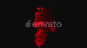 Red Ritual Wine Mockup - Product Promo | After Effect Template